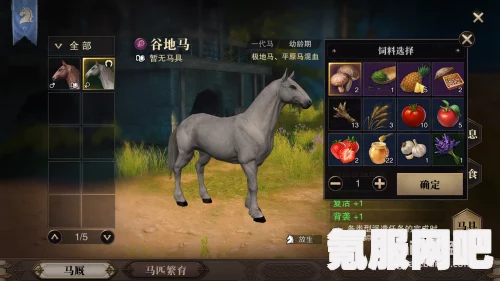 黑沙手游贸易马匹，三代与五代的差异分析