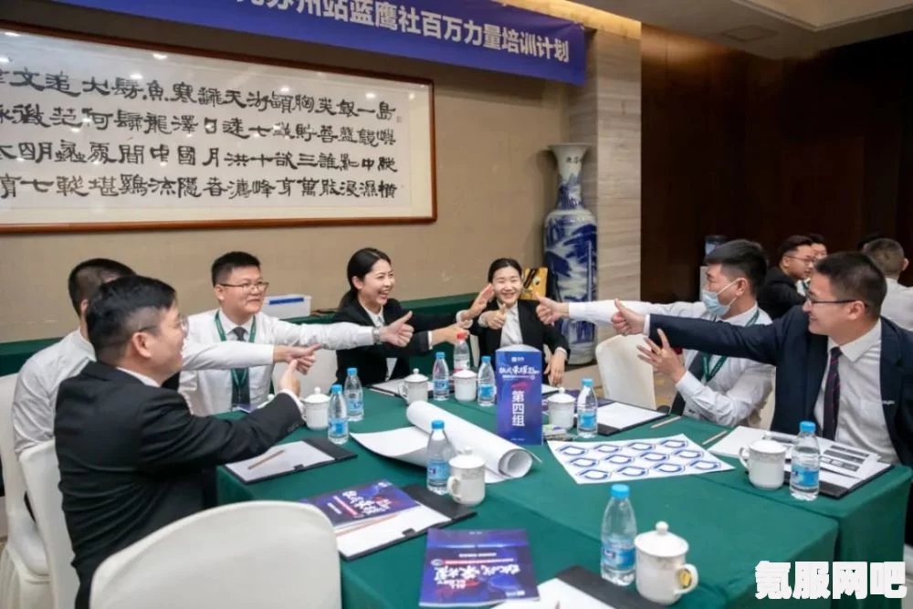 凌云诺官职提升攻略，方法与策略分享