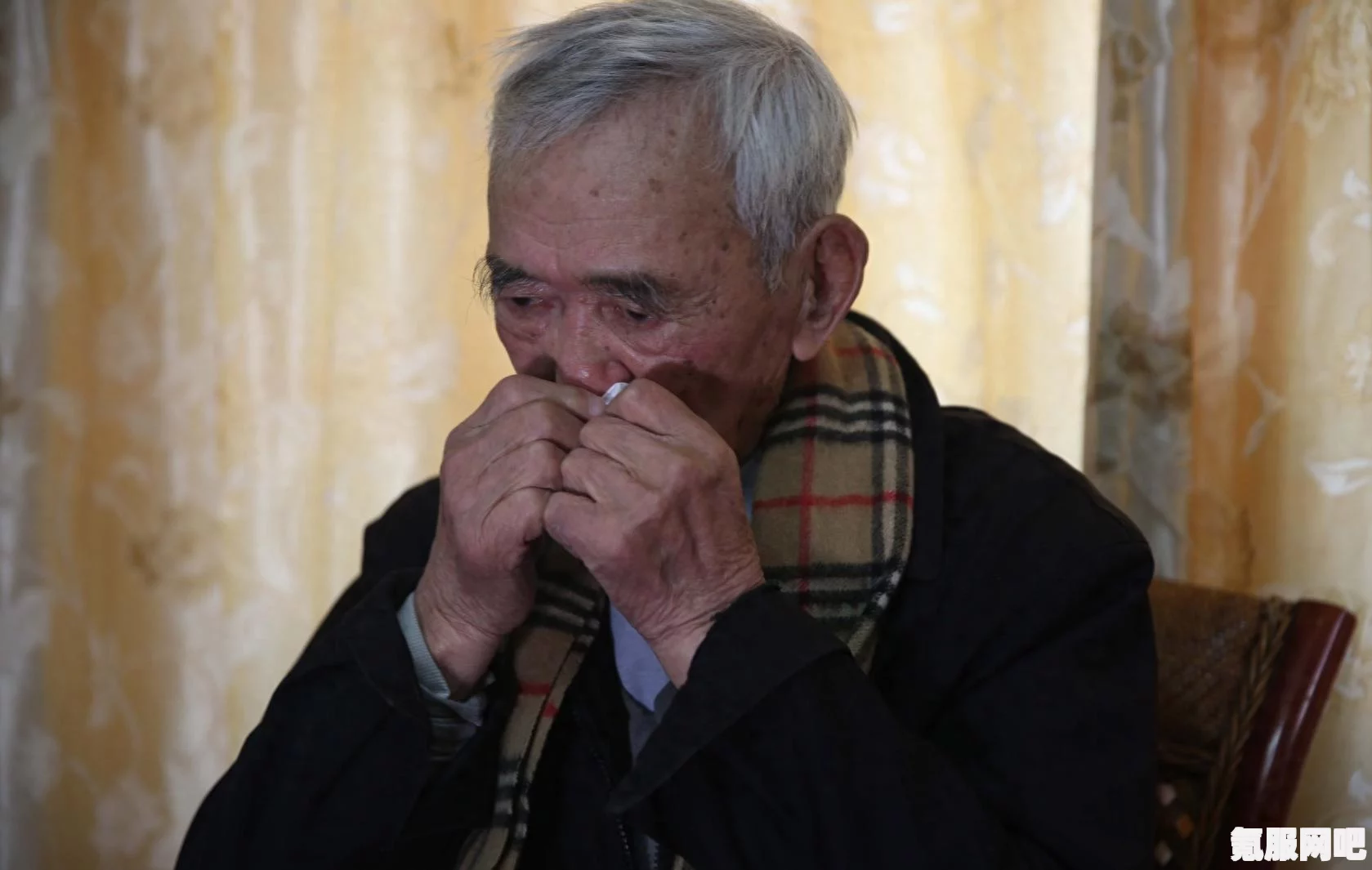 奶奶的菜谱游戏下载攻略与体验分享