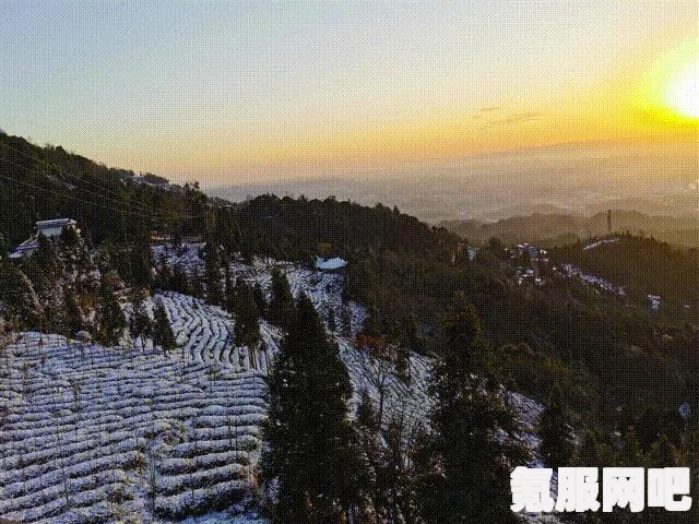 暖雪登场人物深度解析与图鉴