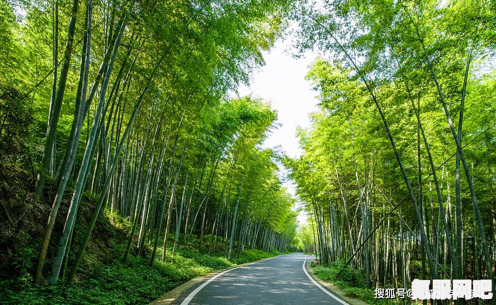 和平精英度假岛悠波球位置指南，详细攻略与解析