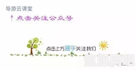 恶意不息青蒿购买指南及常见问题解答