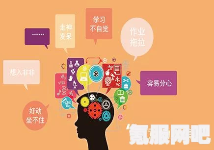 恶意不息专注获取效率有什么用？全面解析恶意不息专注获取效率的作用与影响