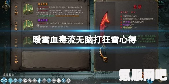 暖雪毒伤流攻略大全，技能与装备完美搭配指南