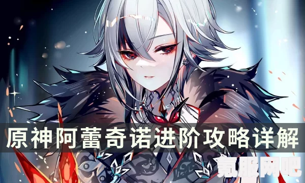 原神仆人圣遗物套装搭配推荐与词条选择攻略—以阿蕾奇诺为例