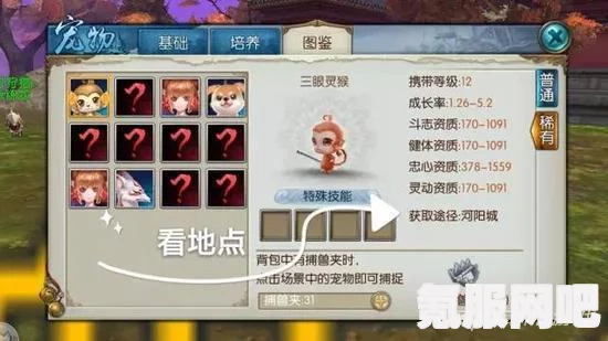 以闪亮之名宠物系统攻略及活动介绍