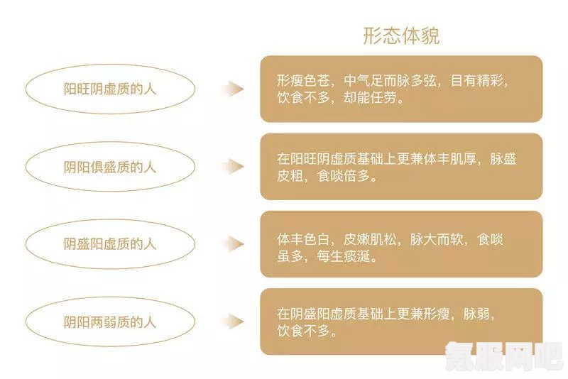 凌云诺男女线差异解析，角色定位与玩法体验的不同之处