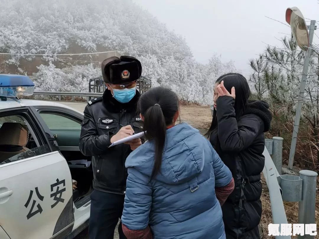 恶意不息盾牌类型全面解析