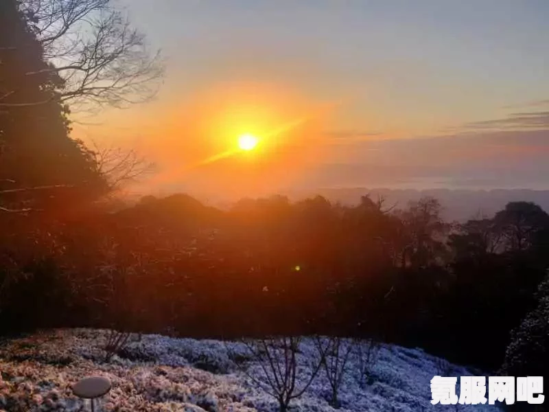 暖雪，游戏平台及其特色一览