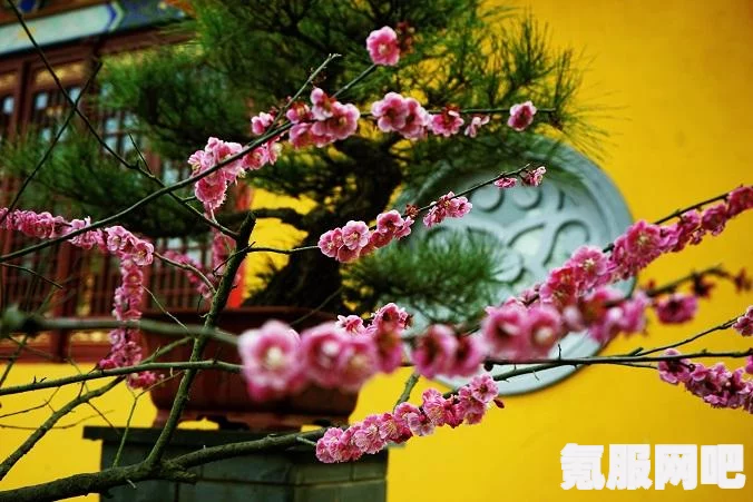 恶意不息，圣城下水道入口解锁攻略及位置介绍