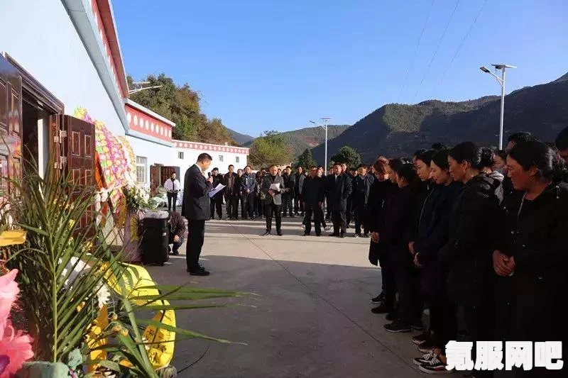 森林之子无限资源获取攻略，资源刷新与获取方法详解