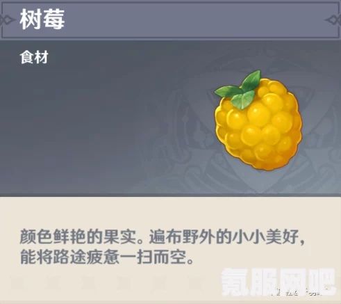 原神密金泡果食谱获取攻略详解