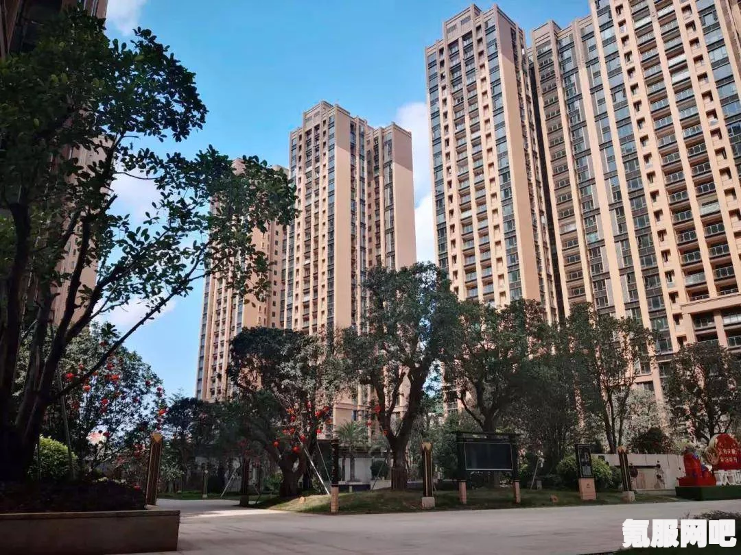 凌云诺翰林府职位晋升攻略与疑案解析