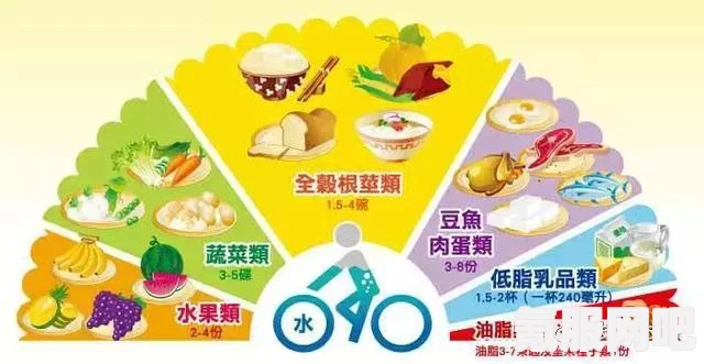 无感染区食物供应攻略，确保稳定的食物来源与分配策略