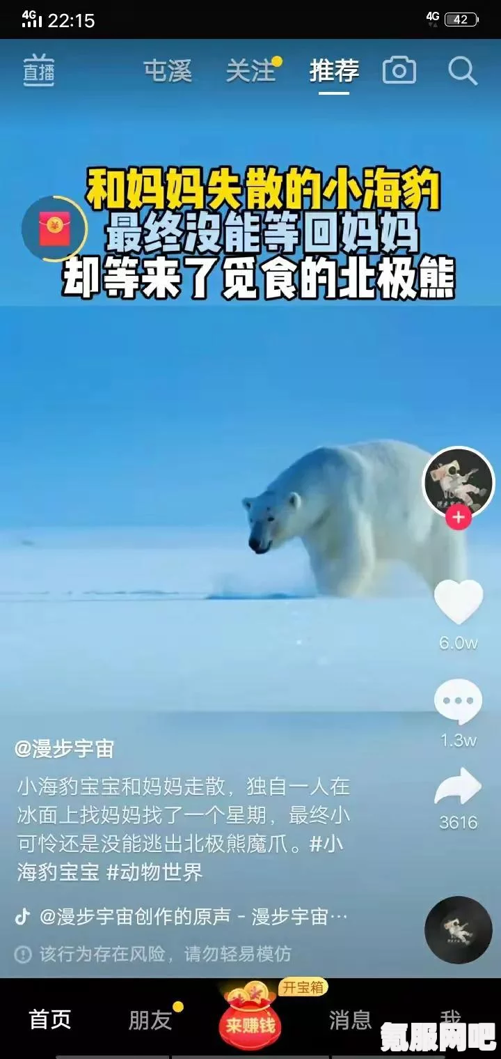 抖音极速版和抖音的区别，功能、体验与特色一览