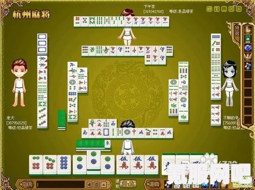 杭州麻将爆头攻略，掌握技巧，轻松获胜