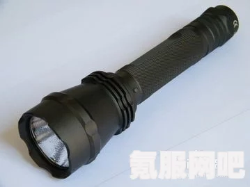 森林之子手电筒附件位置详解及问答环节
