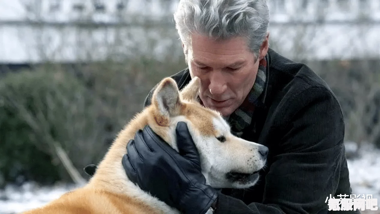 电影忠犬八公定档，期待已久的人犬情深故事即将上演