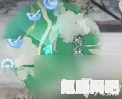 射雕静修的收集方法与攻略