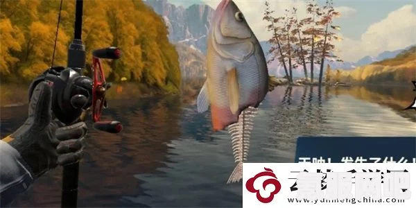 欢乐钓鱼大师咆哮帝的钓鱼技巧与获取指南