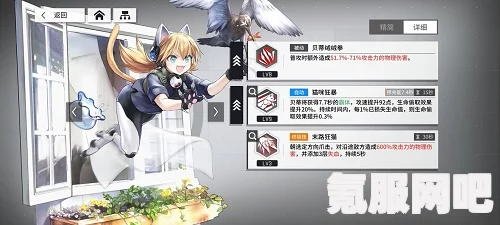 贝蒂家猫猛于虎，云图计划获取攻略与指南详解