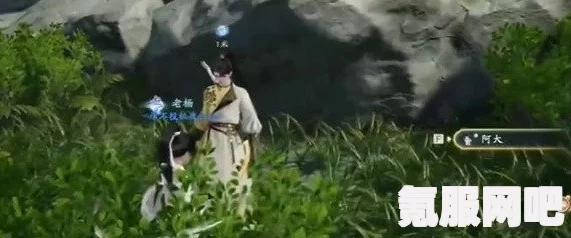 射雕手游金盏罗盘获取攻略，一步步教你如何获得金盏罗盘
