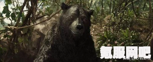 森林之子快捷键设置教程及实用指南