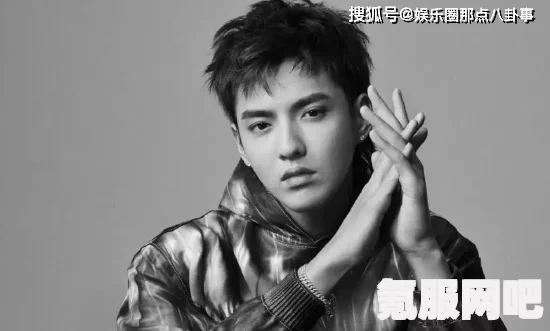 吴亦凡一审情况解析与照片回顾