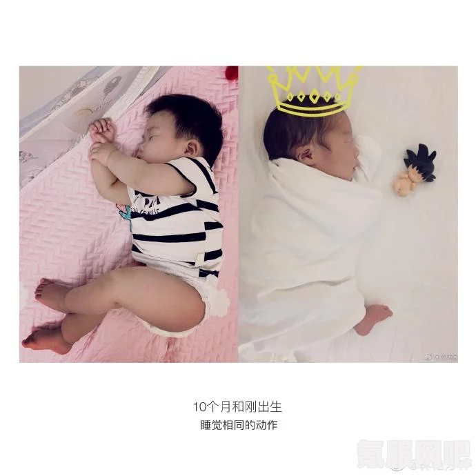 森林之子田径服与体操服的位置指南