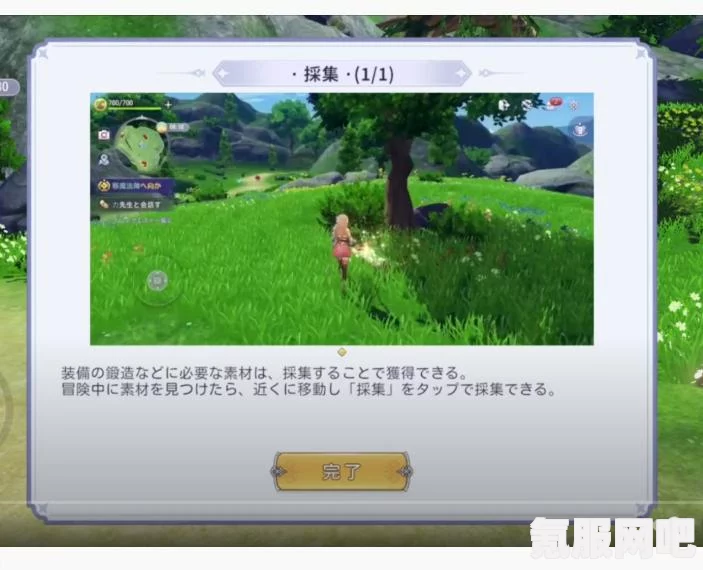 玛娜希斯回响结晶搭配攻略，打造最强组合