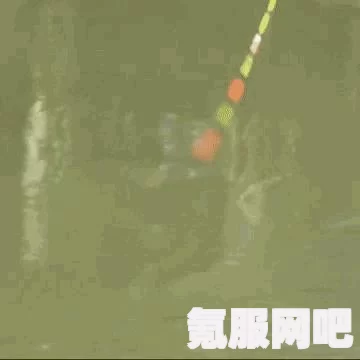 欢乐钓鱼大师好友添加攻略，轻松掌握添加好友的步骤技巧