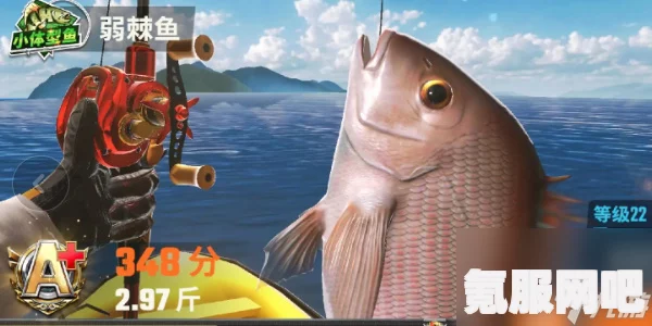 欢乐钓鱼大师，稀有鱼种名字一览