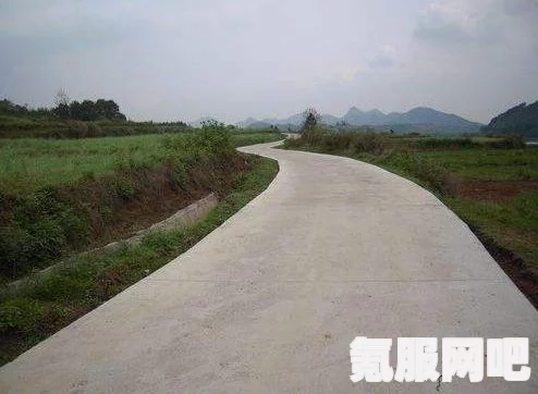 如何下载乡村狂想曲的xapk版本？详细下载方法及问答解答