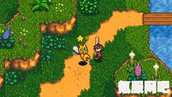 星露谷物语1.6版本全售出物品详解及获取攻略