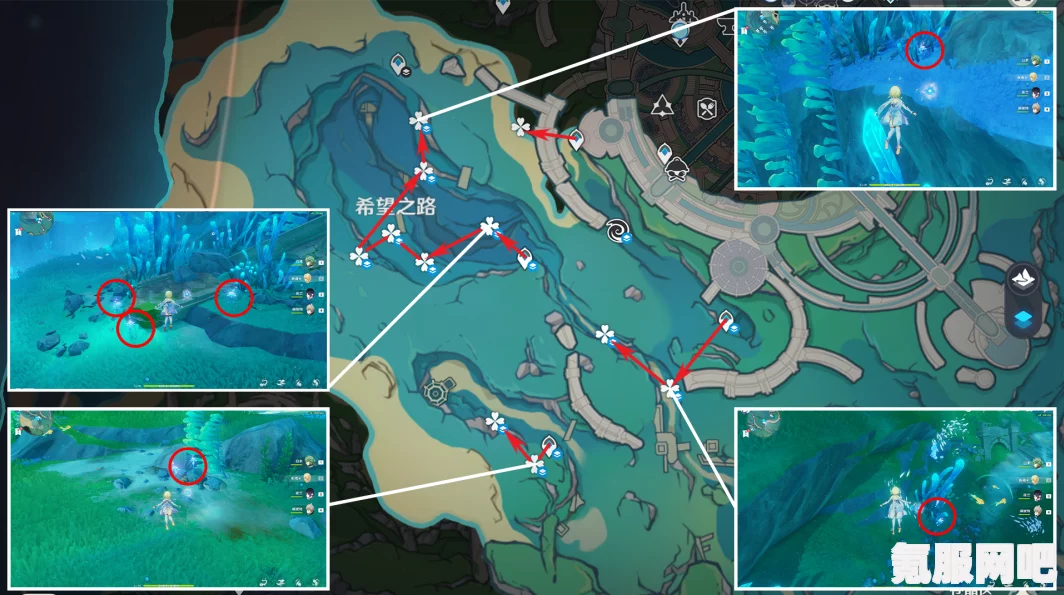 原神海露花的采集路线图及获取地点详解