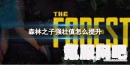 森林之子强壮值提升方法详解
