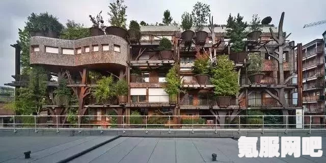 森林之子水上建造方法详解，打造独特的水上居所