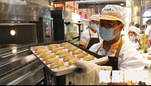 零号任务破译密码攻略大全及常见问题解答