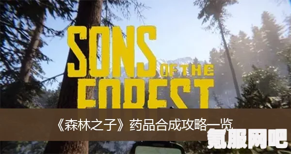 森林之子精力补充剂配方详解与制作步骤