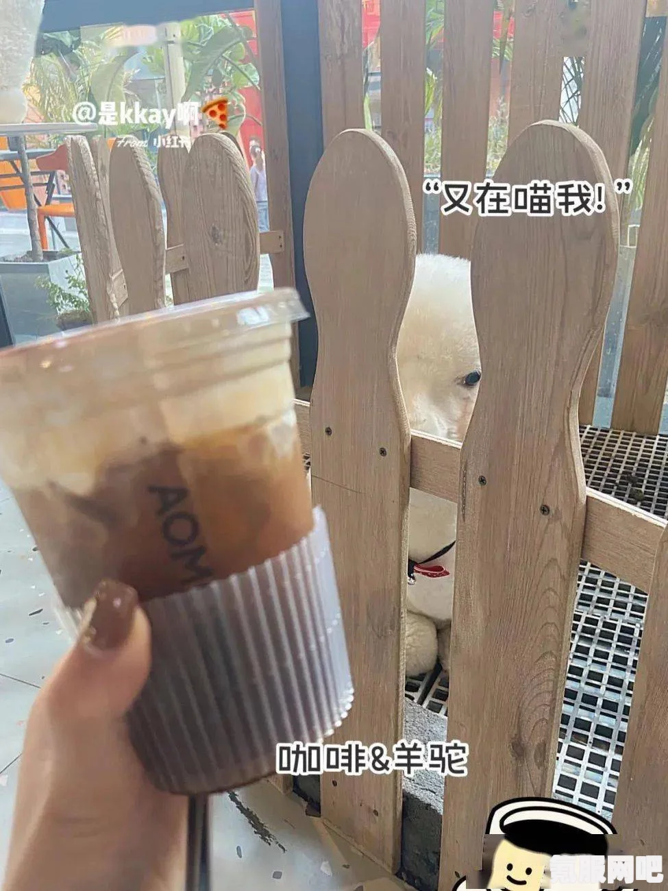 动物餐厅露台刀叉毛巾获取攻略