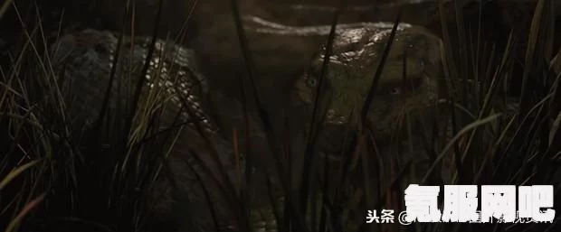 森林之子物品合成表及合成配方汇总详解