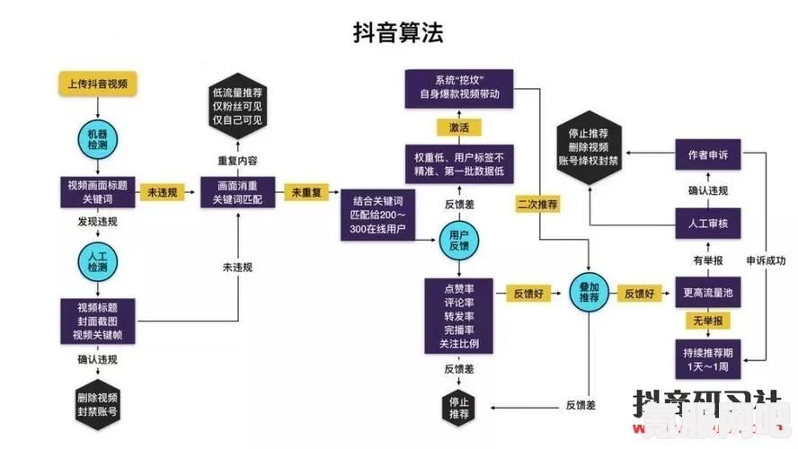 抖音赚钱攻略，方法与策略介绍