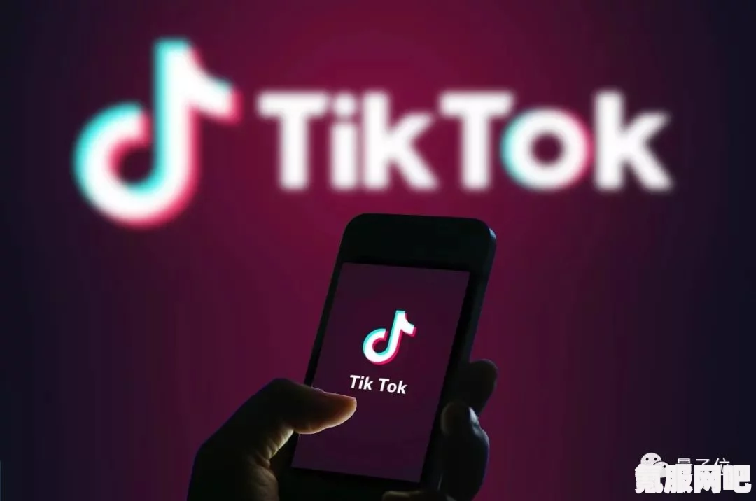 TikTok网页版地址分享，轻松实现在线观看全球短视频