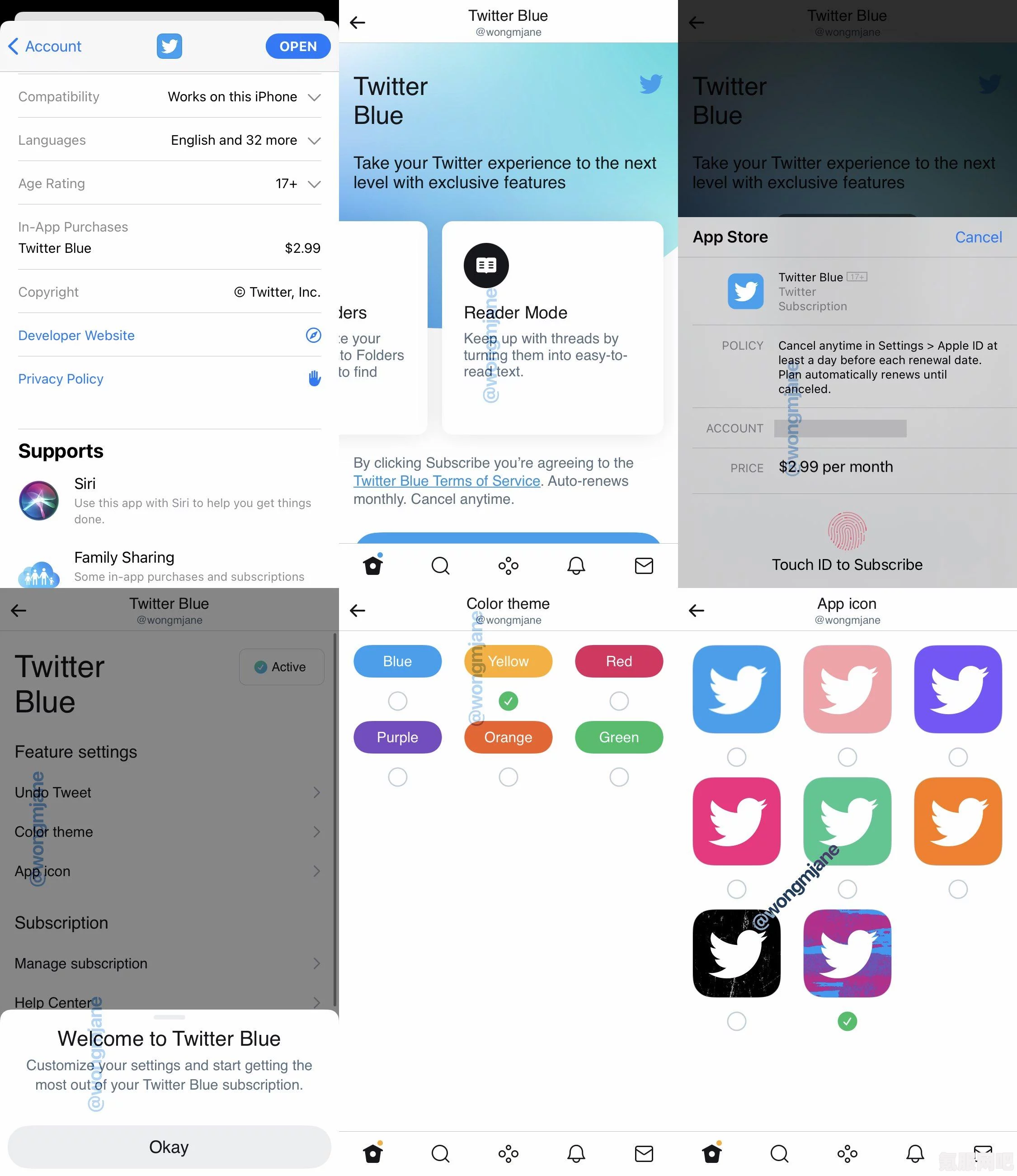 Twitter Blue订阅方法与指南