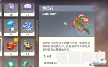 原神悼灵花采集路线图详解，全面指南与问答环节