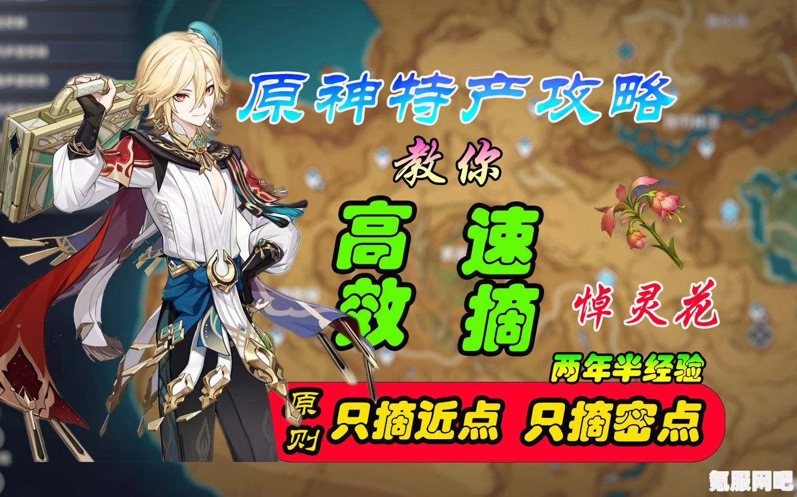 原神悼灵花采集路线图详解，全面指南与问答环节