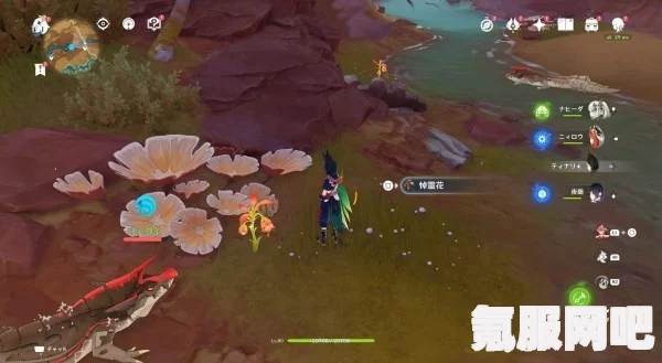 原神悼灵花采集路线图详解，全面指南与问答环节