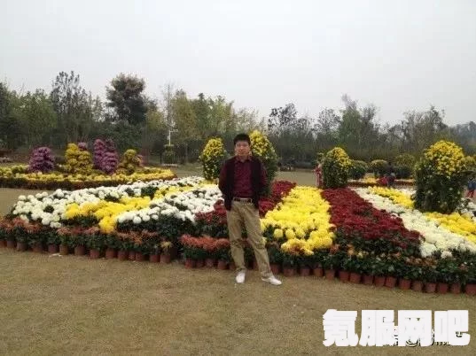 龙之信条2，太阳石的购买位置详解
