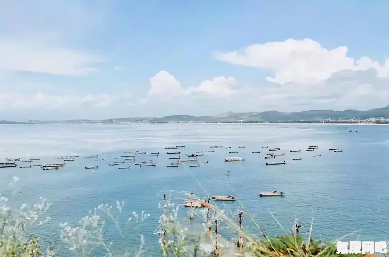 八方旅人2修复灯塔任务攻略大全，一步步带你完成任务