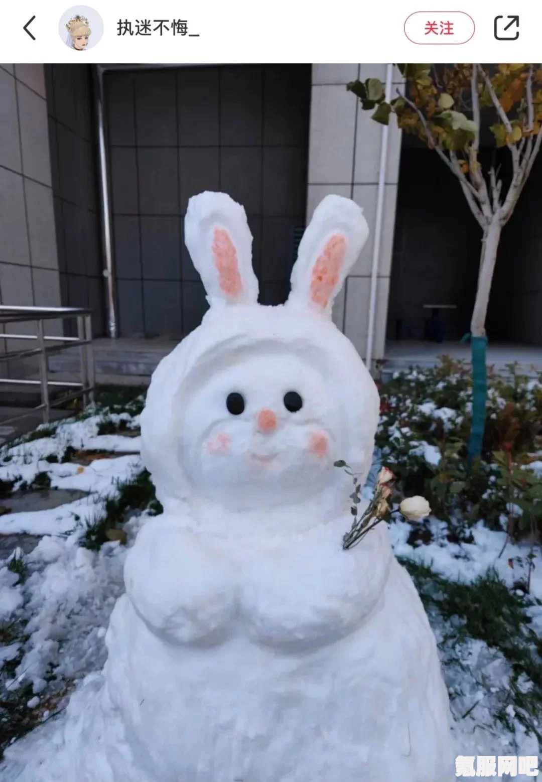 摩尔庄园手游，轻松堆雪人及雪球位置指南攻略